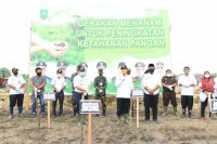 Gubri Syamsuar Didampinggi Bupati Kampar Lakukan Gerakan Penanaman Jagung
