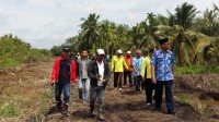 Kadisbun Inhil Tinjau Proyek Penyelamatan Perkebunan Kelapa Rakyat
