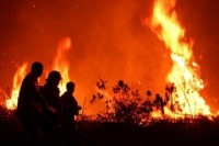 Plt Gubri : Kebakaran Lahan dan Hutan Harus Diatasi Bersama-sama