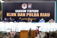 Gakkum KLHK Dan Polda Riau Bongkar Belasan Sawmill Kayu Ilegal Di Kampar -Riau