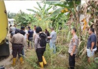 Polda Riau Amankan 5 Pelaku Jaringan Illegal Taping Antar Provinsi, Rugikan Negara Rp 2,4 Milyar .