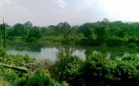Di duga Proyek pencucian Danau di desa Gema sudah masuk Tahap P19 