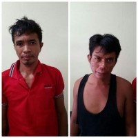 Polisi Lumpuhkan Dua Pelaku Pencurian Ternak Dengan Timah Panas