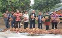 Bupati kampar Jefry Noer:Progam Mencari Uang