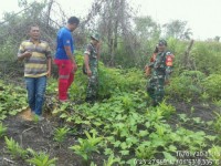 Amankan Wilayah Teritorial Babinsa Koramil 09/Lgm Kodim 0313/Kpr Patroli Rutin 