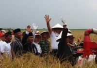 Tingkatkan Swasembada Pangan Dirohil, Bupati Terapkan Perda Alih Fungsi Lahan