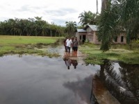 Forkopimca Panai Hulu Tinjau Lokasi Banjir Di Desa Sei Jawi-Jawi