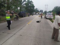 Saat  Nyebrang Jalan, Petani Sawit di Bathin Solapan Duri disambar Bus Travel