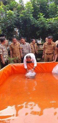 Andi Suhaimi Mengajak Masyarakat Meningkatkan Pendapatan Melalui Budidaya Ikan