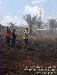 Diikuti 71 CPNS, Plt Sekda Buka Pelatihan Dan Pendidikan Prajabatan