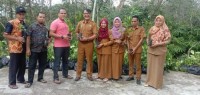 Desa Sungai Jalau Terima Bantuan Bibit Tanaman Produksi Sebanyak 5 Ribu Dari DLHK Prov Riau