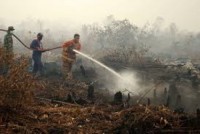 BPBKD Programkan Beberapa Kegiatan Untuk Menangulangi Bencana Kabupaten Pelalawan