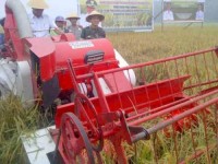 Panen Raya Padi di Rimba Melintang, Bupati Minta Lahan Pertanian Jangan Dialih Fungsikan