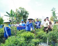 Walikota Pekanbaru Sambut Baik Kegiatan Panen Raya Cabai Merah