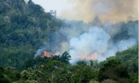 Ahmad Syah : Saat ini Bengkalis Zero Hot Spot
