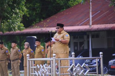Asisten III: 