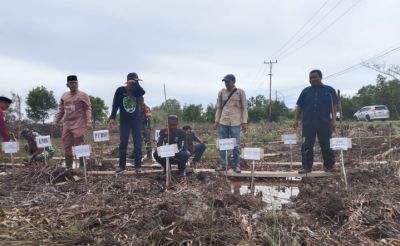 AWAM Mengapresiasi Program Mangrove Yang Digagas Forum Pemuda