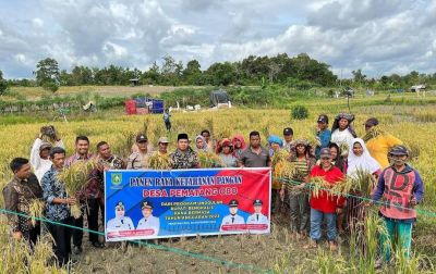 BerandaPemdes Pematang Obo Panen Raya Padi Bersama Poktan