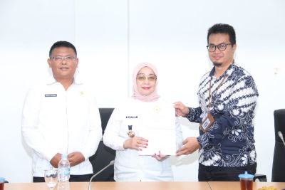 BPK RI Periksa Laporan Keuangan Tahun 2024 di Labuhanbatu 