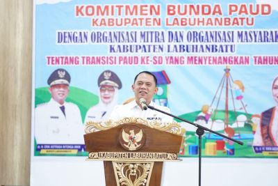 Bupati Labuhanbatu: 