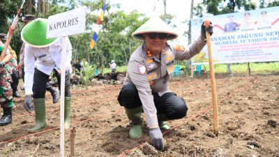 Kapolres Labuhanbatu Tanam Jagung Serentak Kuartal IV Tahun 2025 Dukung Ketahanan Pangan Nasional