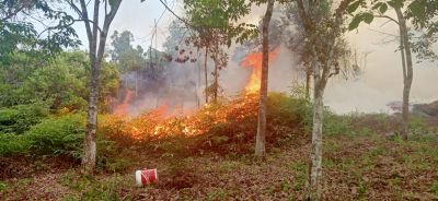 Kebakaran Lahan Milik Warga di Desa Simpang Kubu, Anggota Damkar Berjibaku Padamkan Api