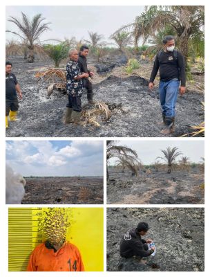 Polres Bengkalis Amankan Satu Tersangka Karhutla di Kawasan HPT Desa Buluh Apo