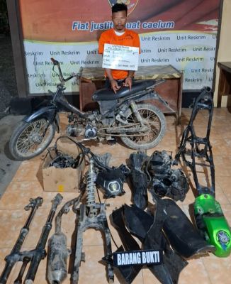 Polsek Bilah Hilir Ringkus Pelaku Curanmor, Amankan Satu Unit Sepeda Motor